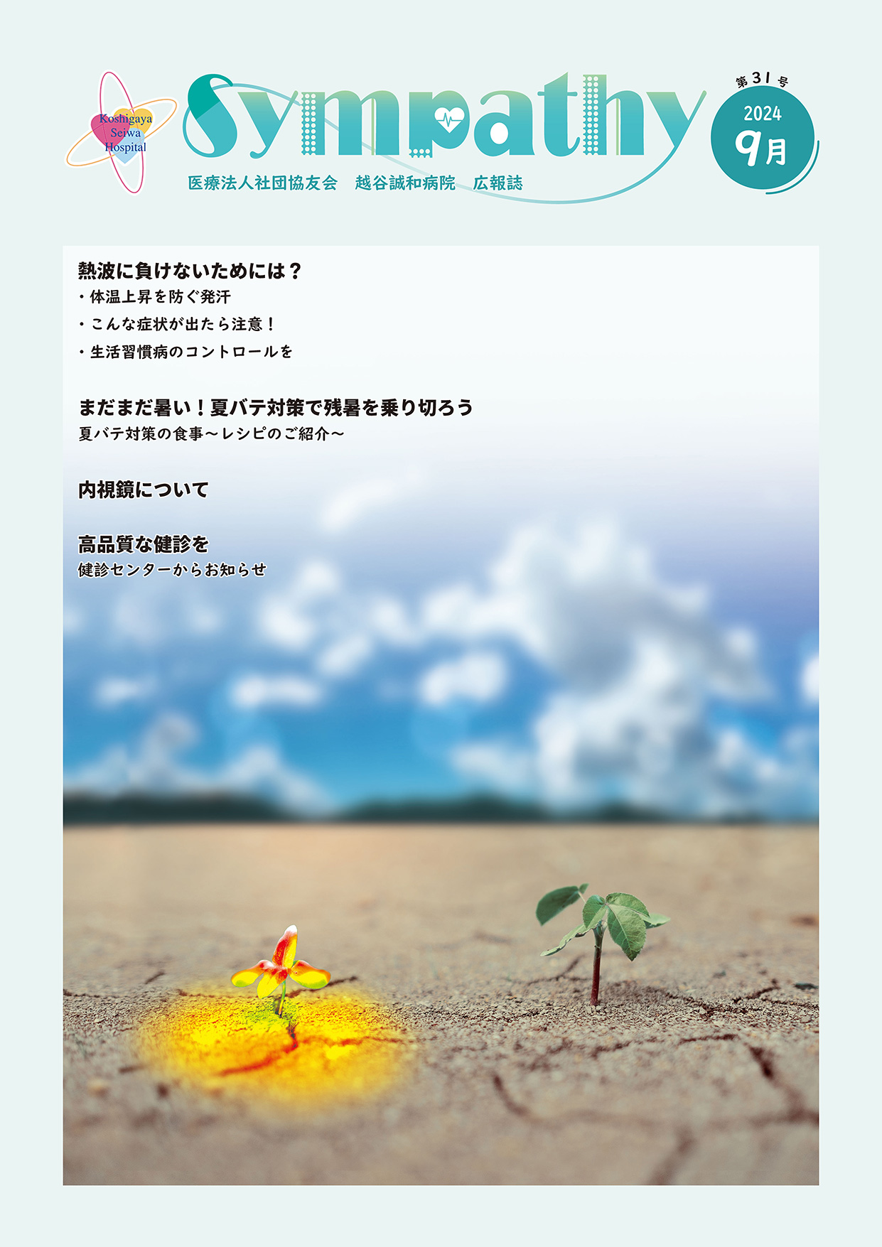 Sympathy 第31号